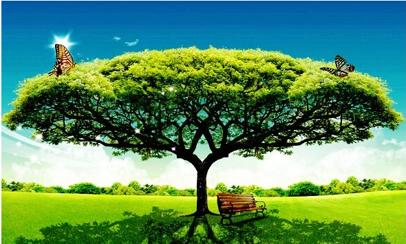 image-20220117135720712.png